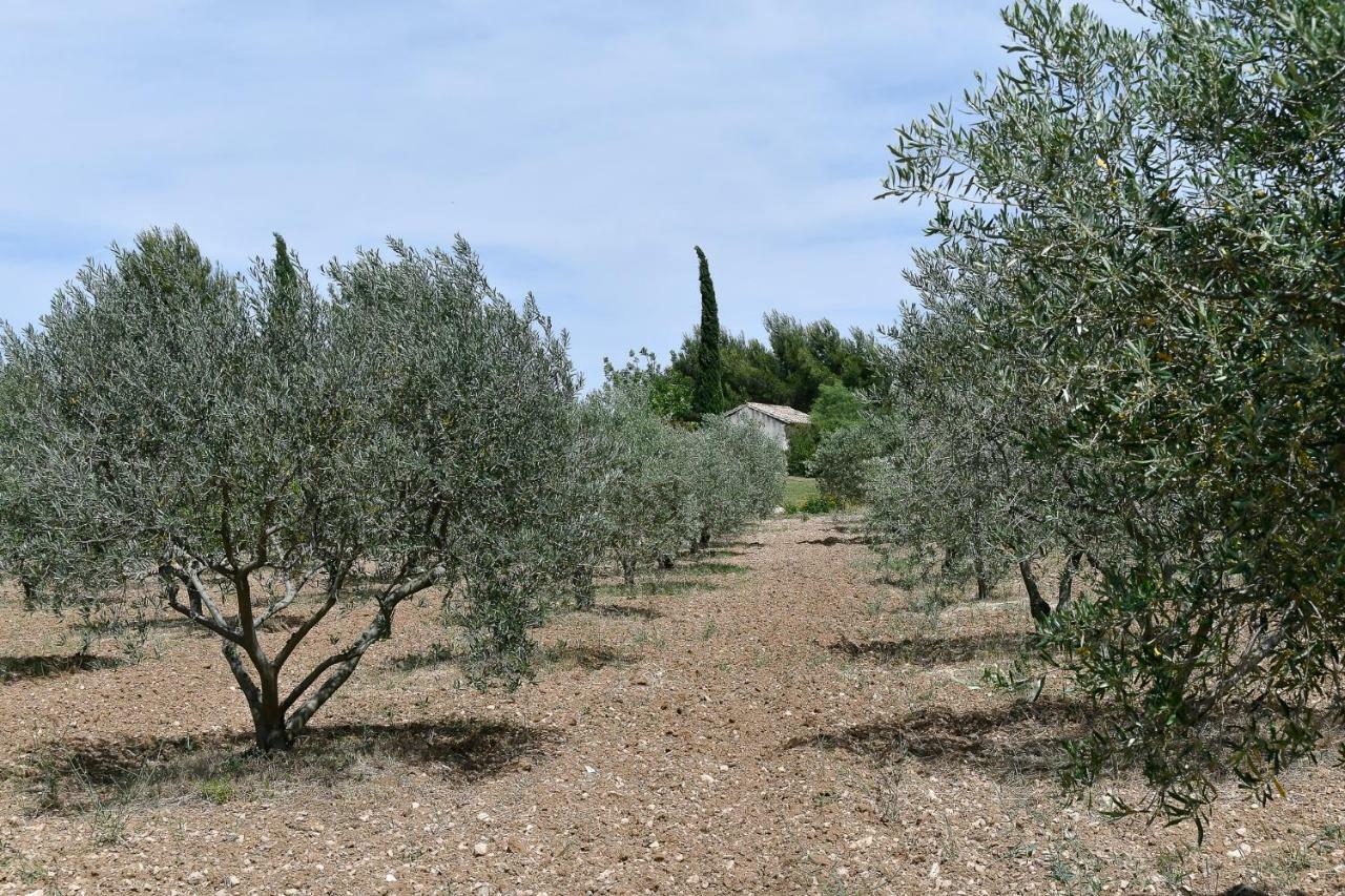 基奈马斯度假屋 Saint-Rémy-de-Provence 外观 照片